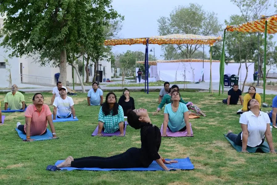 Employee Yoga Wellness