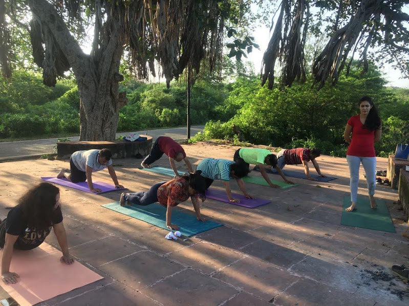 Meditation & Yoga Nidra